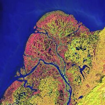 Profile Picture of Aaron Lui (@NjoyEnv) on Twitter