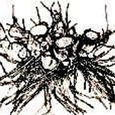 Profile Picture of Graciela M. Silva (@gmsilva01) on Twitter