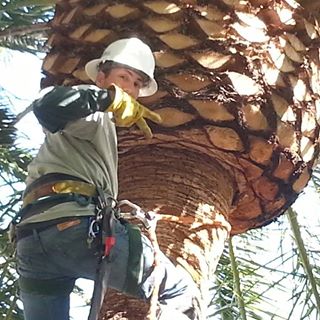 Profile Picture of David Dorsey (@David-Dorsey) on Facebook