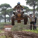 Profile Picture of David Aswad (@david_aswad) on Instagram