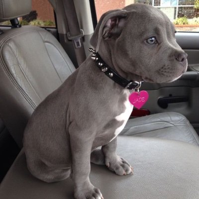 B Gooden. - Twitter Profile Picture of B Gooden. (@Bryan9671_) on Twitter