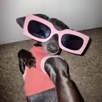 Profile Picture of Pretty Roxandra (@Roxandra23) on Facebook