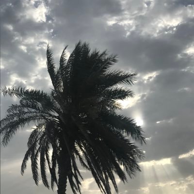 Profile Picture of Kate Chandler (@KateChandler) on Twitter