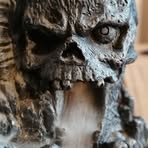 Profile Picture of Matthew Scoles (@matthew.scoles) on Facebook