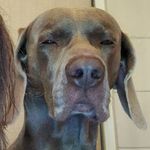 Justin Howarth - Instagram Profile Picture of Justin Howarth (@justinfhowarth) on Instagram