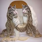 Profile Picture of Kimbrell Keith (@kimbrellk19) on Facebook