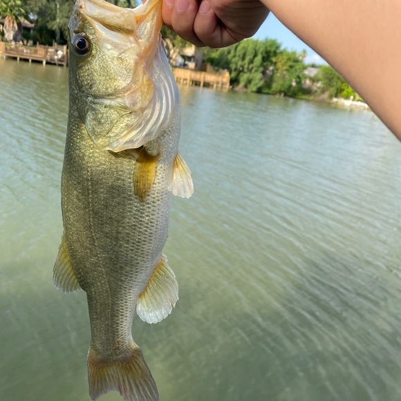 Profile Picture of Daniel Olguin (@dolguin2000) on Poshmark