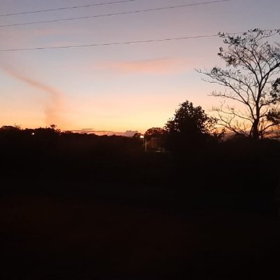 Profile Picture of Robert Pretorius (@RobertPretoriu9) on Twitter