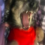 Profile Picture of Tim Huge (@tim.huge.2025) on Facebook