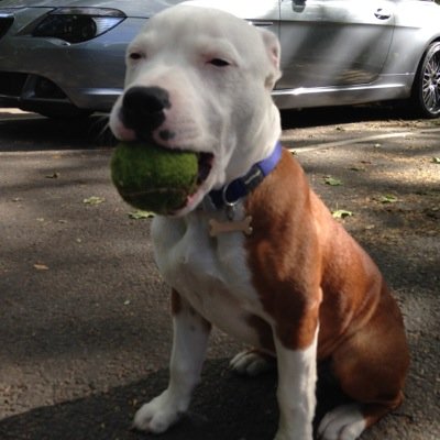 Charlie Marcus Rose - Twitter Profile Picture of Charlie Marcus Rose (@charliechops22) on Twitter