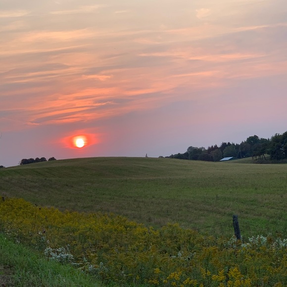 Profile Picture of Bo Liu (@maryliubo) on Poshmark