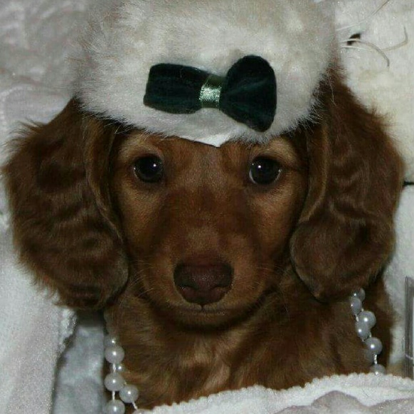 Profile Picture of Tina Mccreery (@tinamccr) on Poshmark