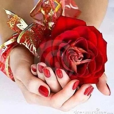 Profile Picture of Rajiv Gulati (@rajivgulatii) on Twitter