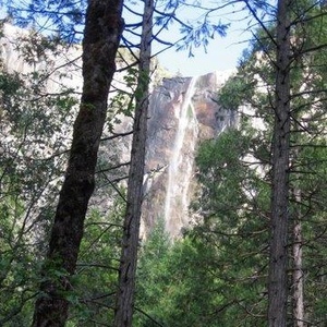 Profile Picture of Bryan Rossiter (@thatguy555) on Myspace