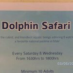 Profile Picture of schnur.richard@gmx.at (@schnur.richard) on Instagram