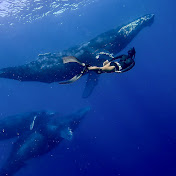 Profile Picture of Bingqian Gao (@NotSuperwomanSusie) on Youtube