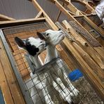 Profile Picture of Micheal Ayansola (@Micheal-Ayansola) on Facebook