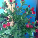 Profile Picture of Mark Brito (@Mark-Brito) on Facebook