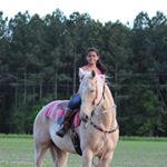 Profile Picture of ☆haley rouse☆ (new account (@haleyrousee) on Instagram