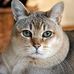Profile Picture of Lily Dunlap (@lily.dunlap.378) on Facebook