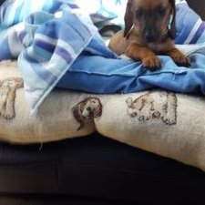 Profile Picture of Joy Cook (@joycook08863256) on Twitter