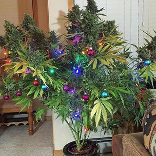 Profile Picture of Ivan Makarenko (@ivan.makarenko.925) on Facebook