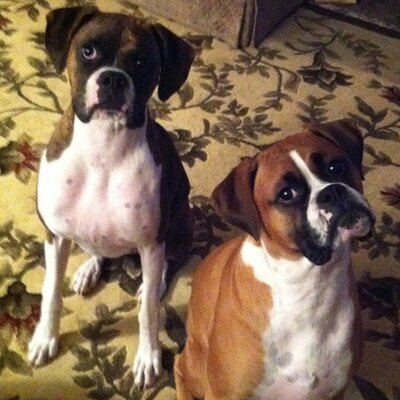 Profile Picture of Cindy Marie (@CynthiaVann1) on Twitter