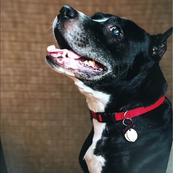 Profile Picture of Mariam Segreto (@mariamsegreto) on Poshmark