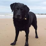 Profile Picture of David Parish (@davidparish50) on Instagram