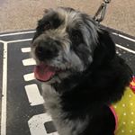 Profile Picture of James Longoria (@maggiefaces) on Instagram