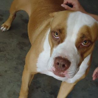 Profile Picture of Pana Marlowe (@pana.marlowe) on Facebook