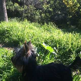 Profile Picture of Sandra Barthelemy (@sandra.prero) on Facebook