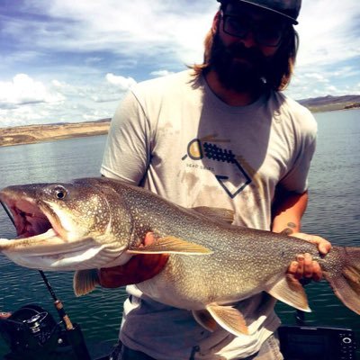 Profile Picture of Z (@BaumZach) on Twitter
