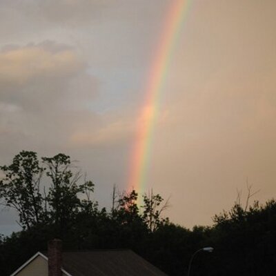 Profile Picture of Thomas Harrigan (@th0093) on Twitter