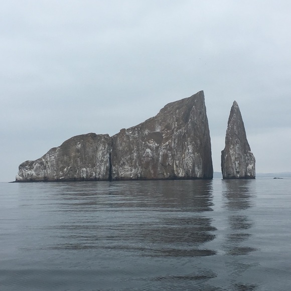 Profile Picture of Alexa Tiven (@ativen421) on Poshmark