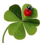 Profile Picture of Mandy Helmer (@helmermandy) on Instagram