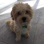 Joshua - Instagram Profile Picture of Joshua (@joshua_humanitiessocialstudies) on Instagram