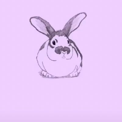 Profile Picture of Alexa Kerr (@AlexaKerr11) on Twitter