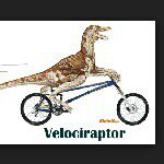 Profile Picture of Josh Breen (@imassasinhd) on Instagram