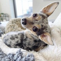 Profile Picture of Fiona Moore (@fiona-moore-77) on Quora