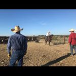 Profile Picture of Dusty Stewart (@dustystewart9669) on Instagram