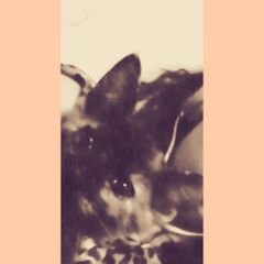 Profile Picture of Naomi Potts (@naomipott9) on Twitter