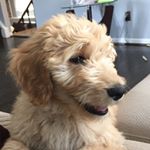Profile Picture of Ryan Simonson (@rsimo167) on Instagram