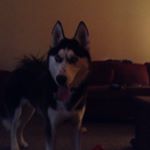 Profile Picture of Jacob Lennon Treskot (@jaketreskot22) on Instagram