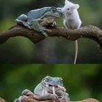 Profile Picture of Peter Ruperty (@peterruperty) on Instagram