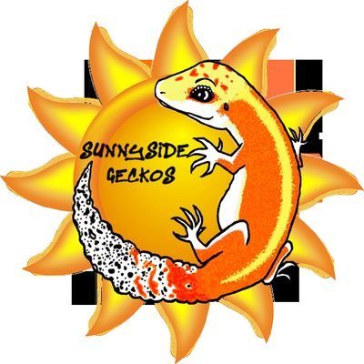 Profile Picture of Sunnyside Geckos (@ScottSturgeonJ1) on Twitter