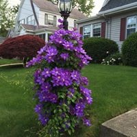 Profile Picture of Kim Fryer Swanson (@kim-fryer-swanson) on Quora