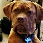 Profile Picture of Robert Collier (@loveingstacie) on Instagram