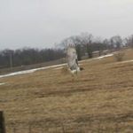 Profile Picture of Kevin Mertz (@kevin.mertz.14) on Instagram