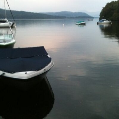 Profile Picture of AndrewThrelkeld (@bearthrelkeld) on Twitter